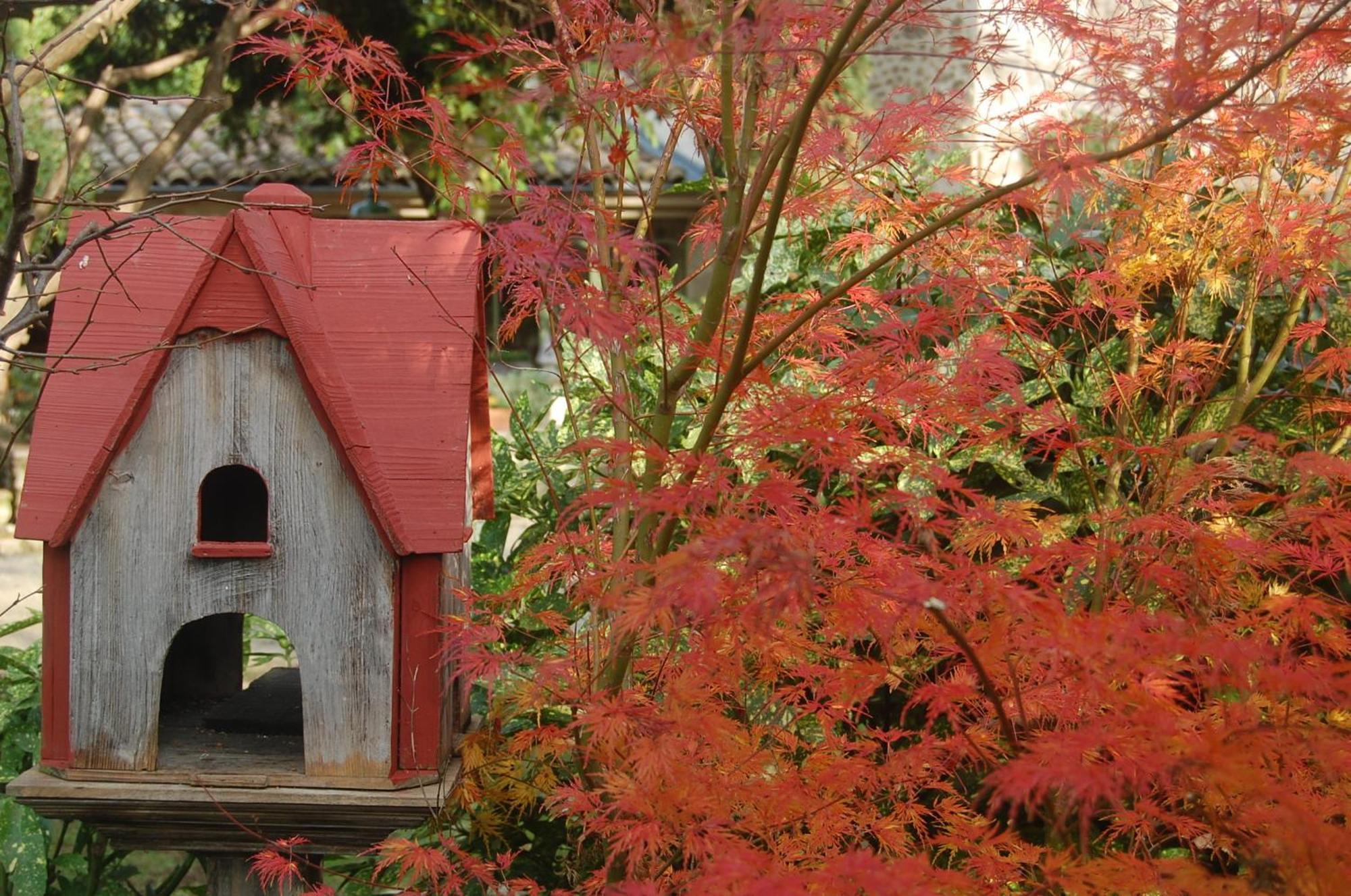 Le Mas Des Clots Bed & Breakfast Upie Dış mekan fotoğraf