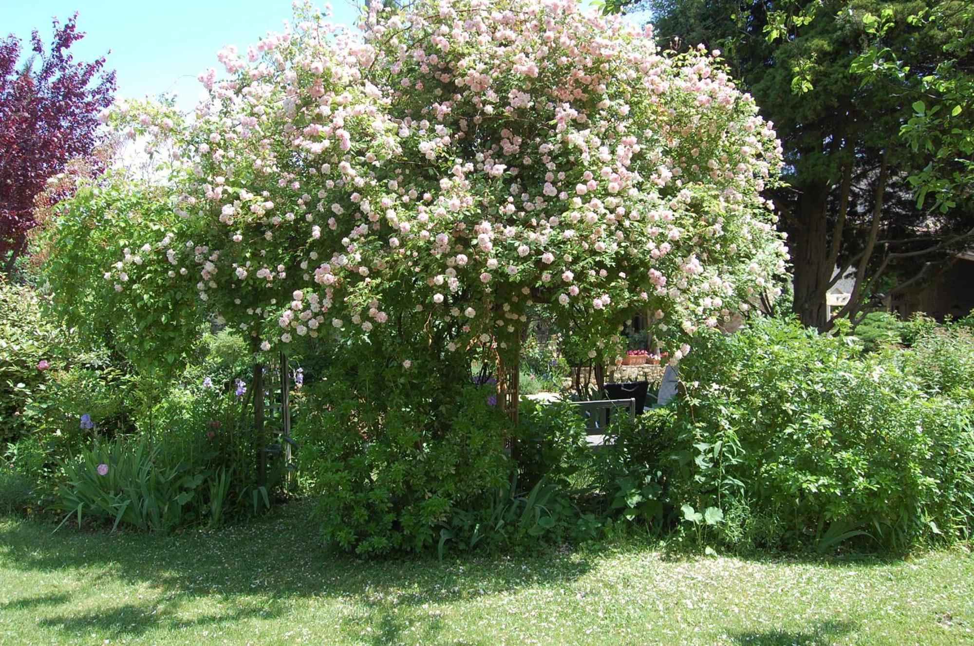 Le Mas Des Clots Bed & Breakfast Upie Dış mekan fotoğraf